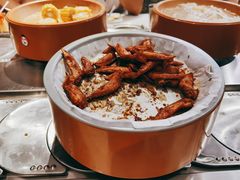 -龍歌自助小火锅(城阳万象汇店)