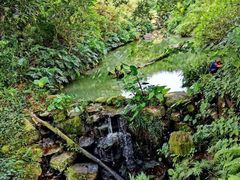 -龙山酒店温泉