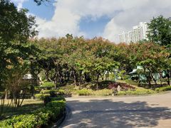 -九龙寨城公园