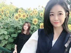 -五通灯塔公园