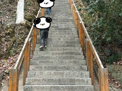 -云碧峰国家森林公园