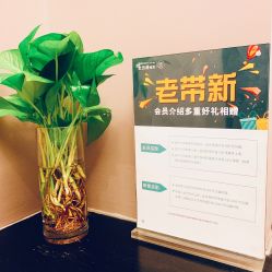 -史云逊养发护发