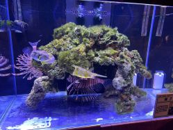 -Zoolung Zoolung动物主题公园(海信广场店)