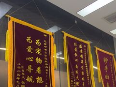 -中农国际动物医院24小时·猫科·骨科·急重症中心
