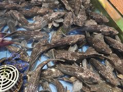 -山东八大碗山东老字号