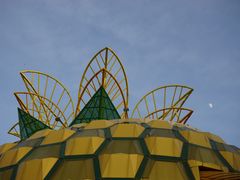 -墨脱石锅椰子鸡•香草鸭•东山羊(大东海店)