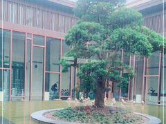 -上海崇明金茂凯悦酒店