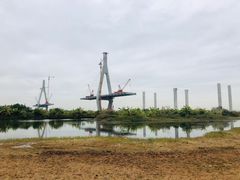 -芒洲湿地公园