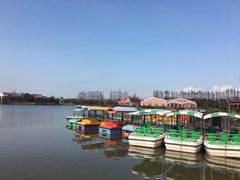 -上海长兴岛郊野公园