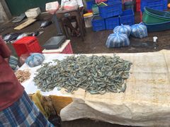 -尼甘布海鲜市场