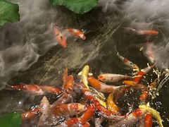 -火福·天湖阁大闸蟹博物馆主题餐厅(浅水湾店)