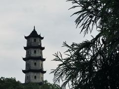 -江心屿景区
