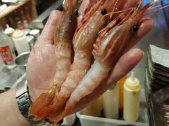 -恋铁板烧(阳光新生活广场店)