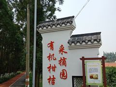 -上海长兴岛郊野公园