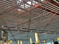 -首都机场t3-c国航两舱休息室