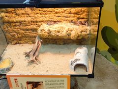 -松江科技馆