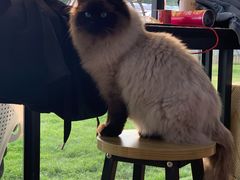 -美家乐农庄·露营·团建(大治路店)