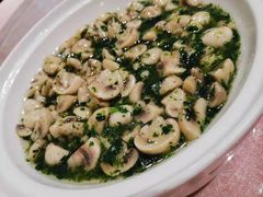荠菜蘑菇-天福苑(崇宁路店)