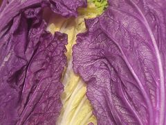 -豆花姐烂豆花火锅(水屯北路恒大滨河店)