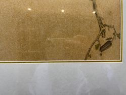 -铂诗玥医美