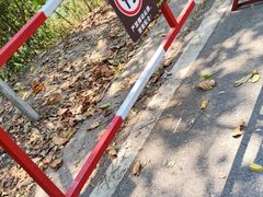 -野象谷景区
