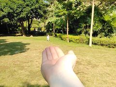 -杨梅坑