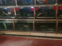 -螺涌海鲜酒楼(增槎路店)