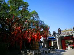 -国恩寺