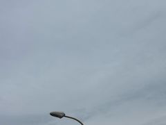 -mango tree芒果树泰国餐厅(青岛万象城店)