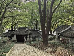 -上海佘山国家森林公园天马山园