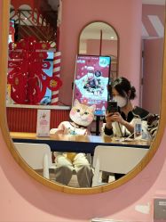 -玩元素·家庭游乐成长中心(香格里拉店)