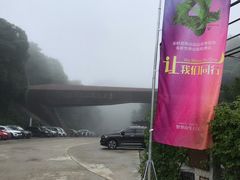 -悠然山高山湿地景区悠然自得庭