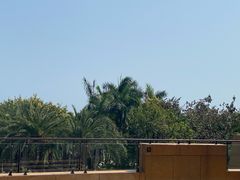 -三亚海棠湾万丽度假酒店