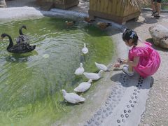-珠海海泉湾神秘岛亲子乐园