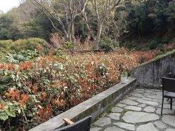 -尚圣月子会所·庄园式月子中心(萧山湘湖店)