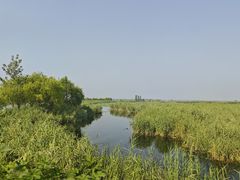 -白洋淀风景区