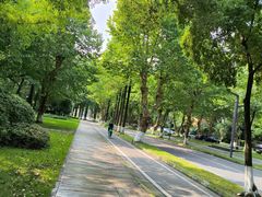 -四川大学(望江校区)