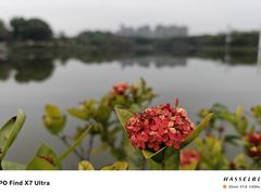 -东莞植物园