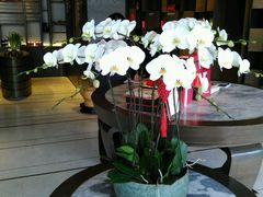 -王德传茶庄(上海新天地店)