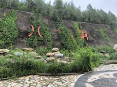 -八奇洞景区