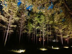 -河南省黄河迎宾馆