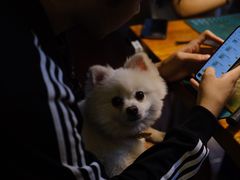 -零几体验diy皮具工作室(振业城店)