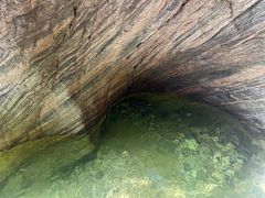 -牛背梁国家森林公园