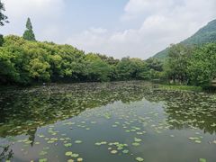 -八卦田遗址公园