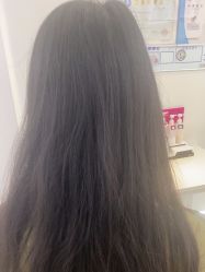 -YESIDO椰岛造型