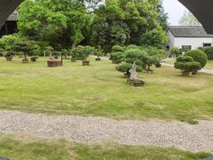 -盆景园(扬州大运河文化旅游度假区)