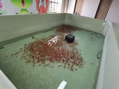 -北京美神宫艺术主题温泉酒店