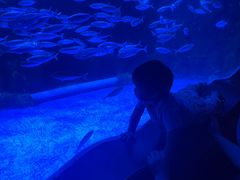 -太平洋海底世界