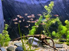 -上海海洋水族馆
