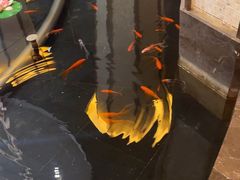 -世纪缘国际会议中心·中餐厅(百家湖店)